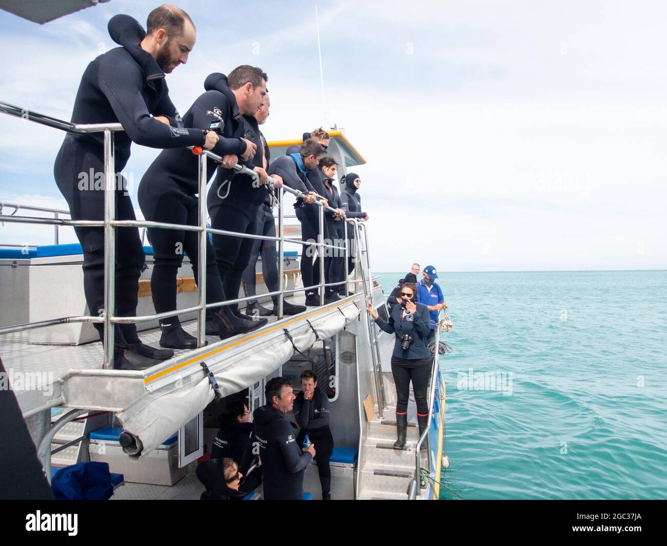 Excursion de plongée en cage à requins, Gansbaai, Afrique du Sud Banque D'Images