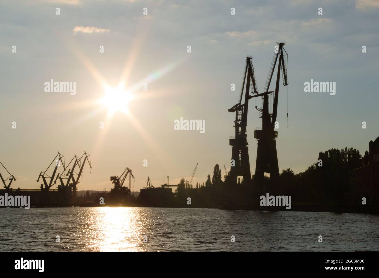 Grues portuaires au coucher du soleil à Gdansk, Pologne Banque D'Images