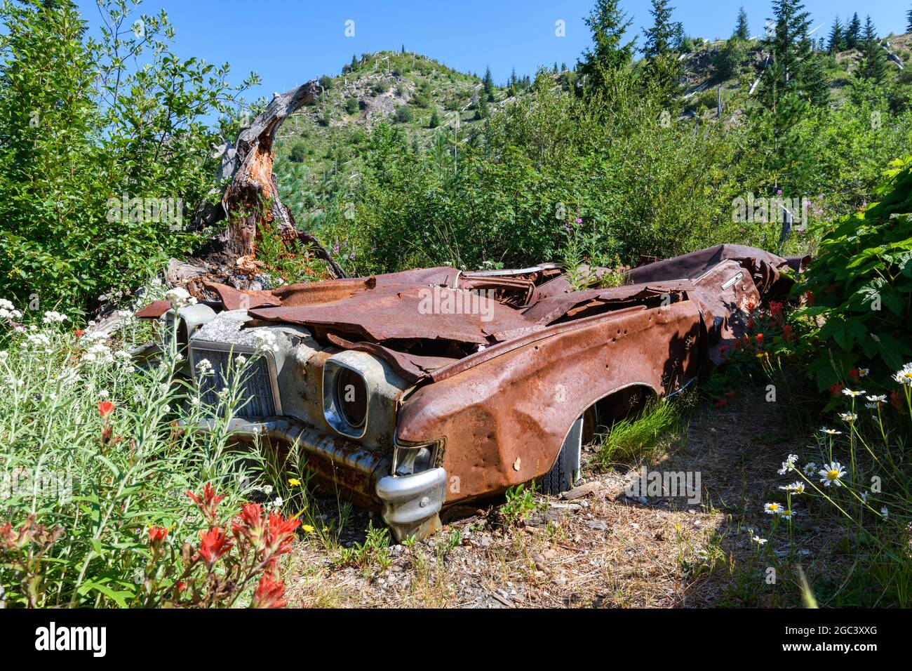 Mount St Helens, WA, États-Unis - 04 août 2021 ; restes d'une voiture de mineurs écrasée dans l'éruption volcanique du mont St Helens en 1980 Banque D'Images