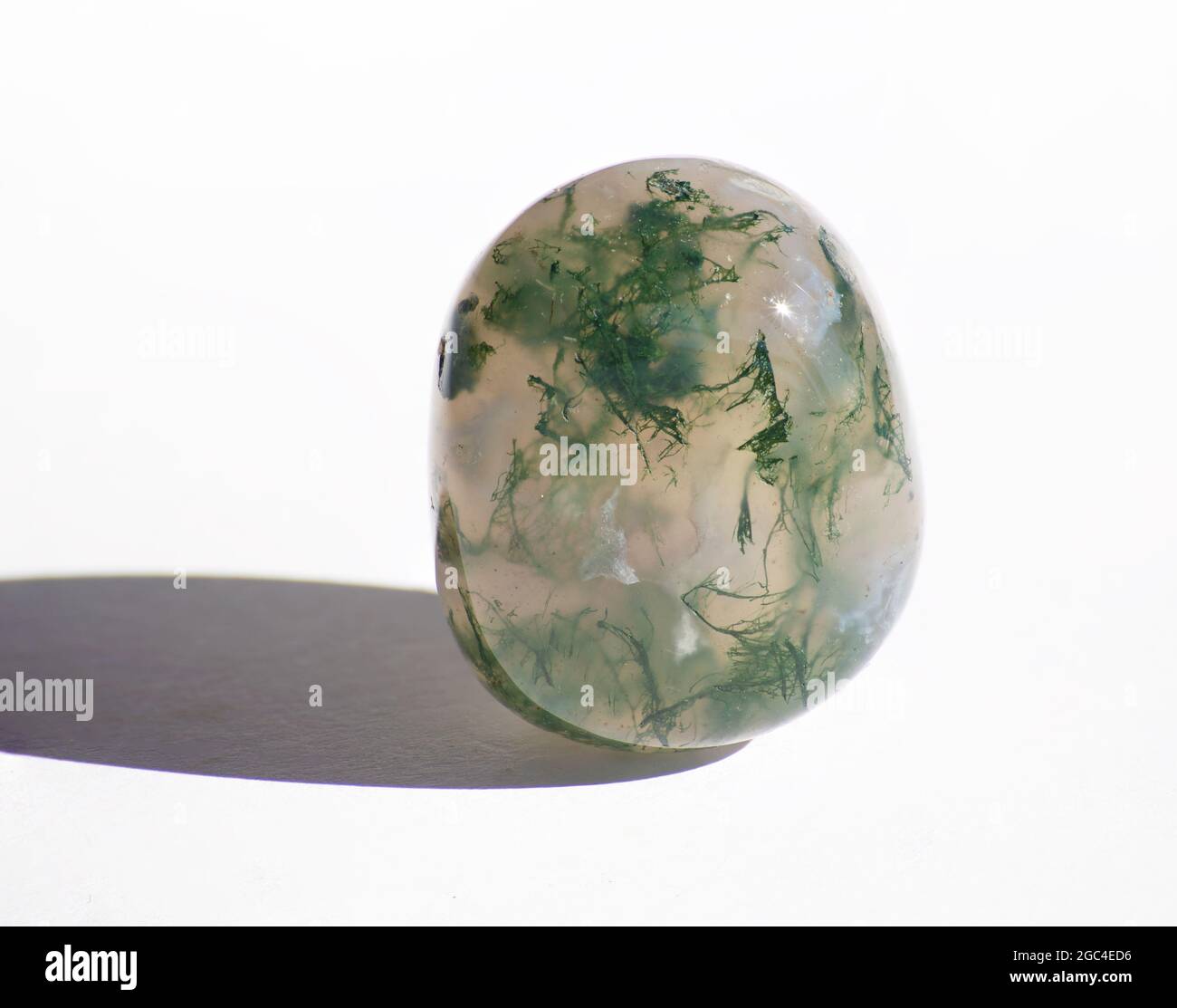 Mousse Agate pierre naturelle tumbled Banque D'Images