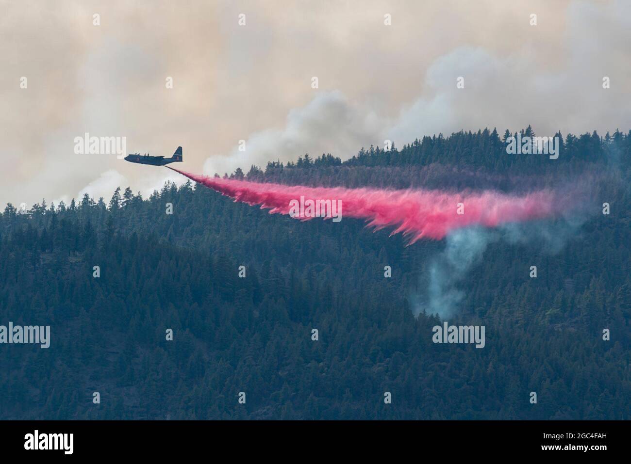 La Garde nationale aérienne C-130, MAFFS 9, de Reno, au Nevada, tombe ignifuge sur le complexe de Beckwuth Fire le 9 juillet 2021 près du lac Frenchman, en Nouvelle-Californie. En plus d'autres ressources, trois gardes nationaux de l'Air C-130s--deux du Nevada et un de Californie aideront à lutter contre le feu du complexe Beckwuth dans le nord de la Californie. Le Département de la Défense, par l'intermédiaire du commandant du Commandement du Nord des États-Unis (USNORTHCOM), fournit un soutien au Centre interagences national des incendies (NIFC) dans la conduite des opérations de lutte contre les incendies de forêt comme demandé. First Air Force (Air Forces Northern), Compagnie aérienne du Commandement du Nord des États-Unis Banque D'Images