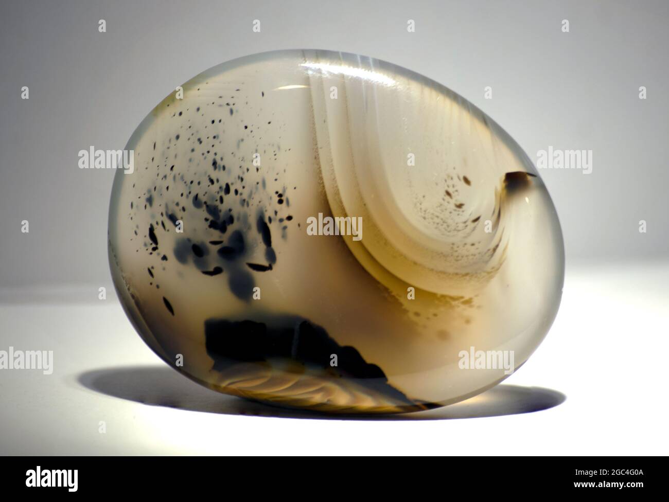 Montana Agate - palmier, pierre naturelle Banque D'Images