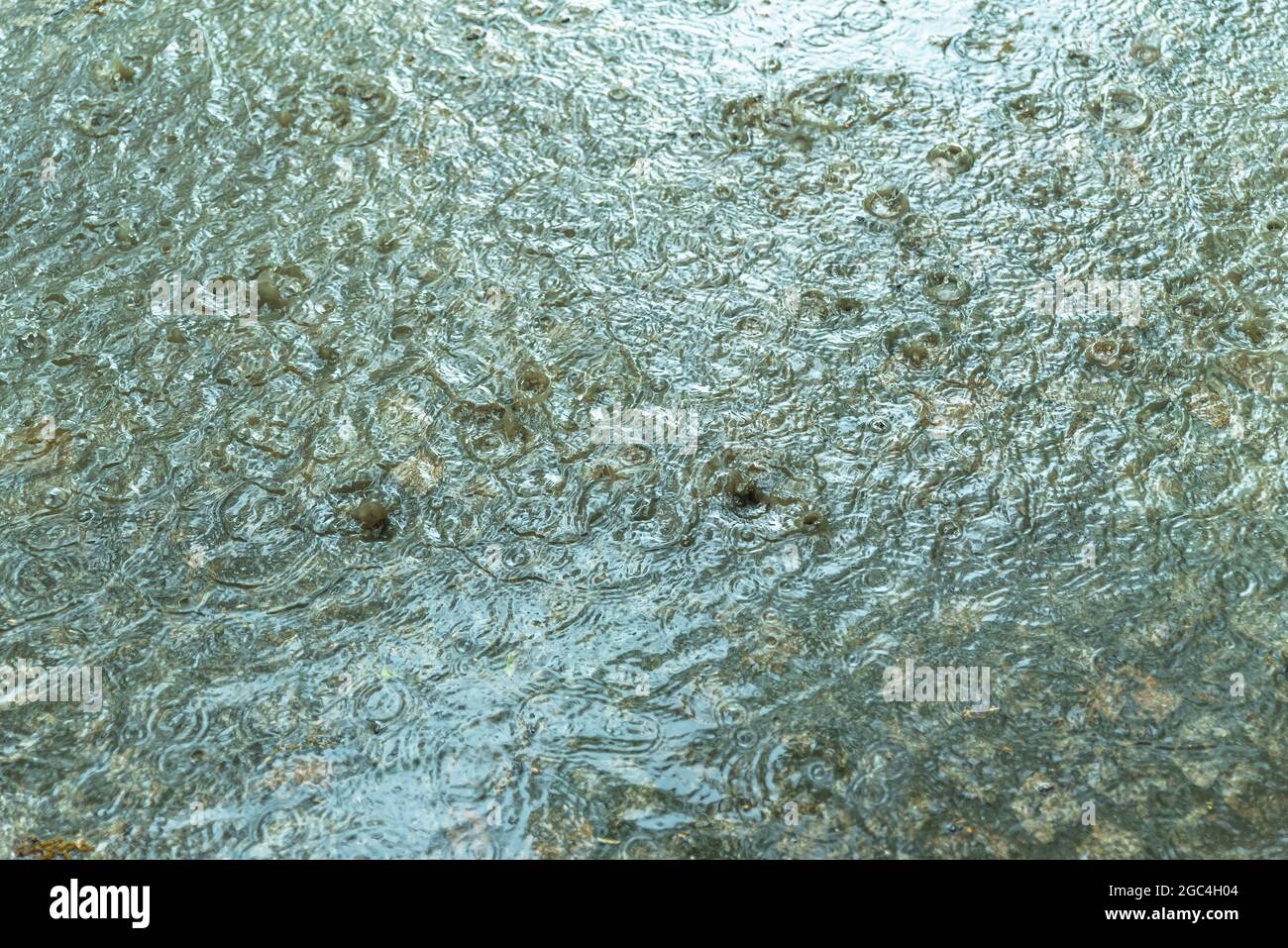 De fortes pluies et des orages laissent des rues sous l'eau dans la ville de Gdansk, en Pologne Banque D'Images