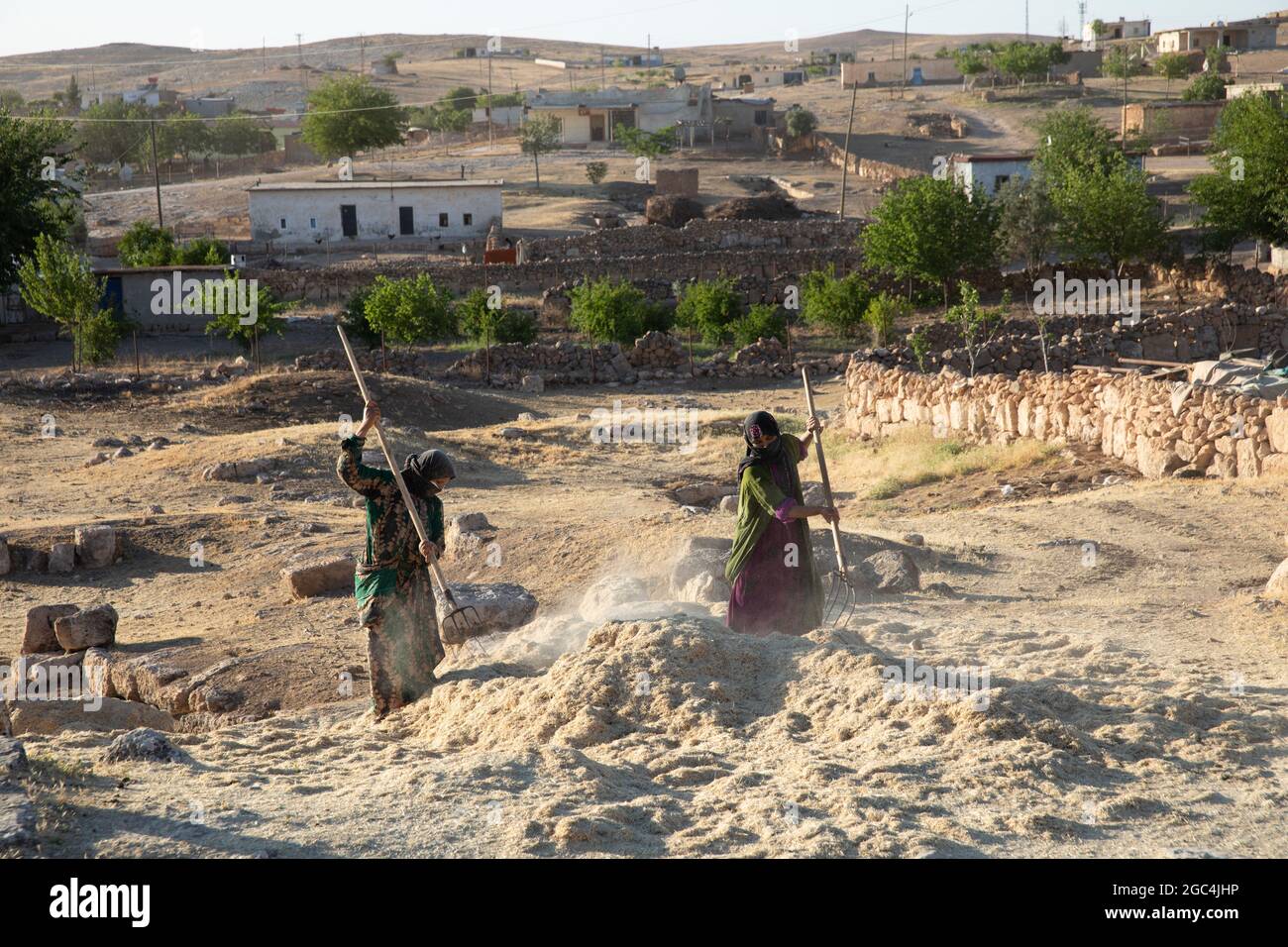 Les femmes de village travaillant parmi les ruines de la ville historique de Shuayip, connu sous le nom de Ozkent Village, qui est rumeur Prophète Shuayb. Banque D'Images