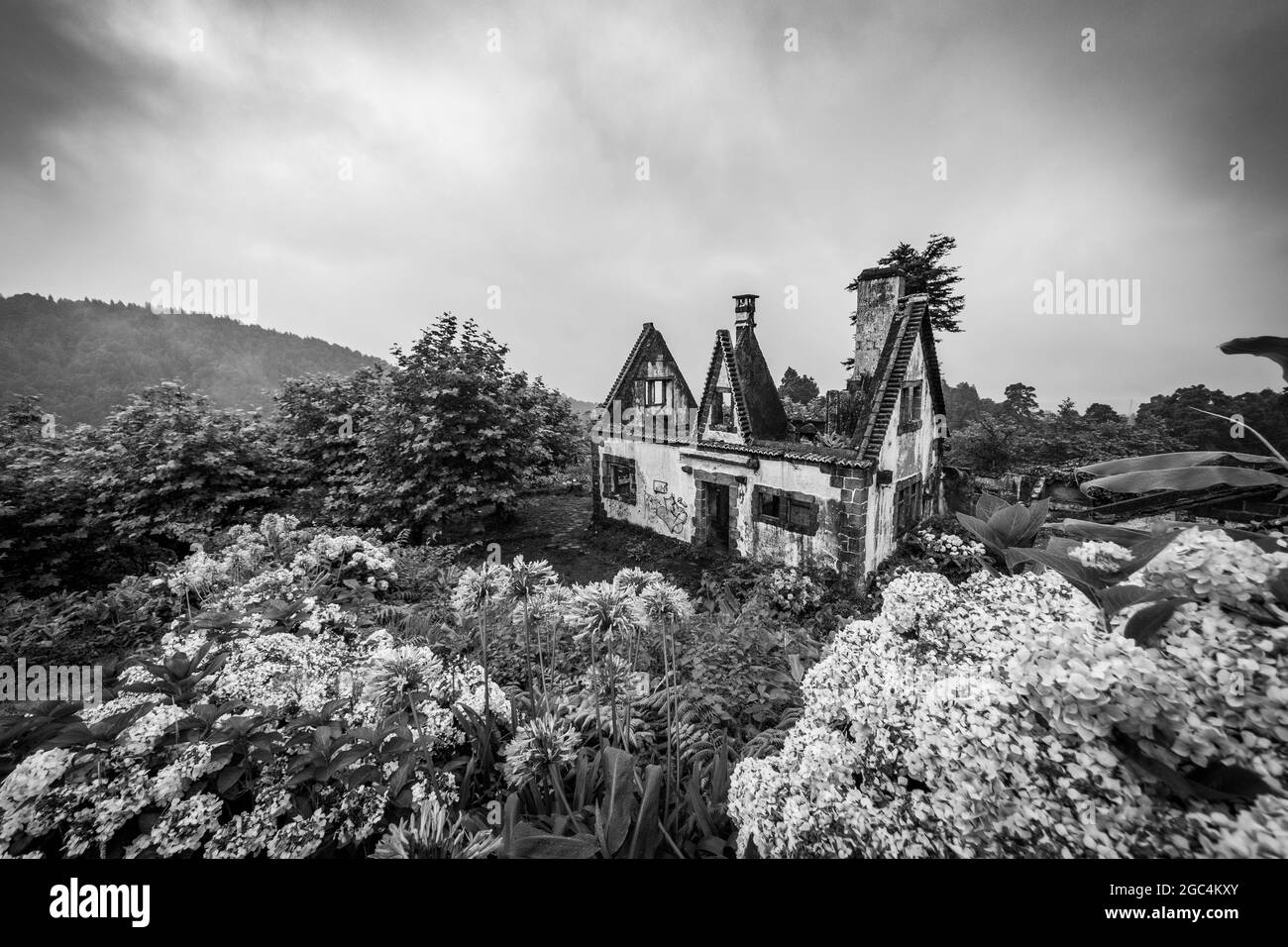 Bâtiment en noir et blanc, ruine, avec des arbres autour, destination de voyage Açores. Banque D'Images