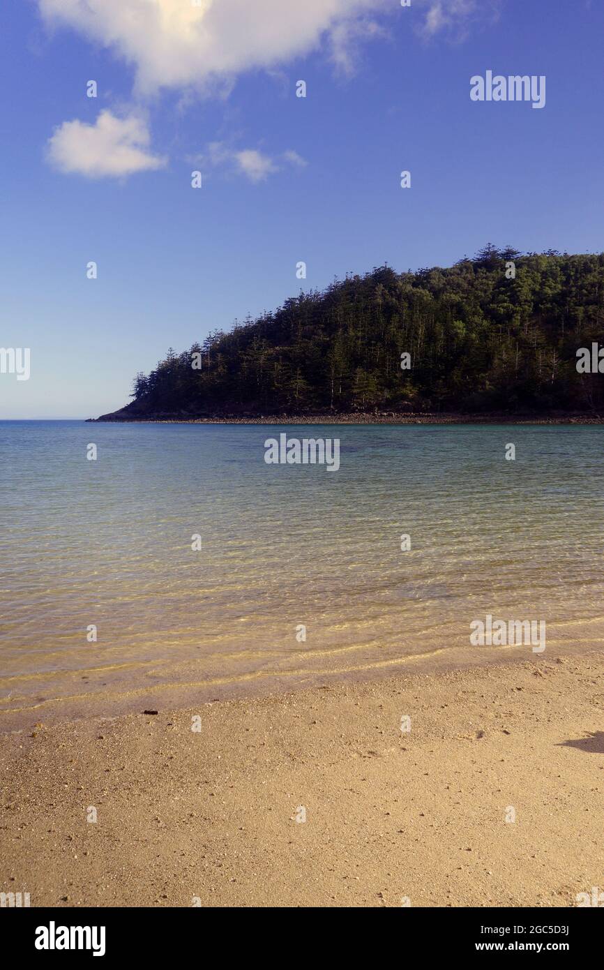 Oyster Bay, Brampton Island, Whitsunday Islands National Park, Queensland, Australie Banque D'Images