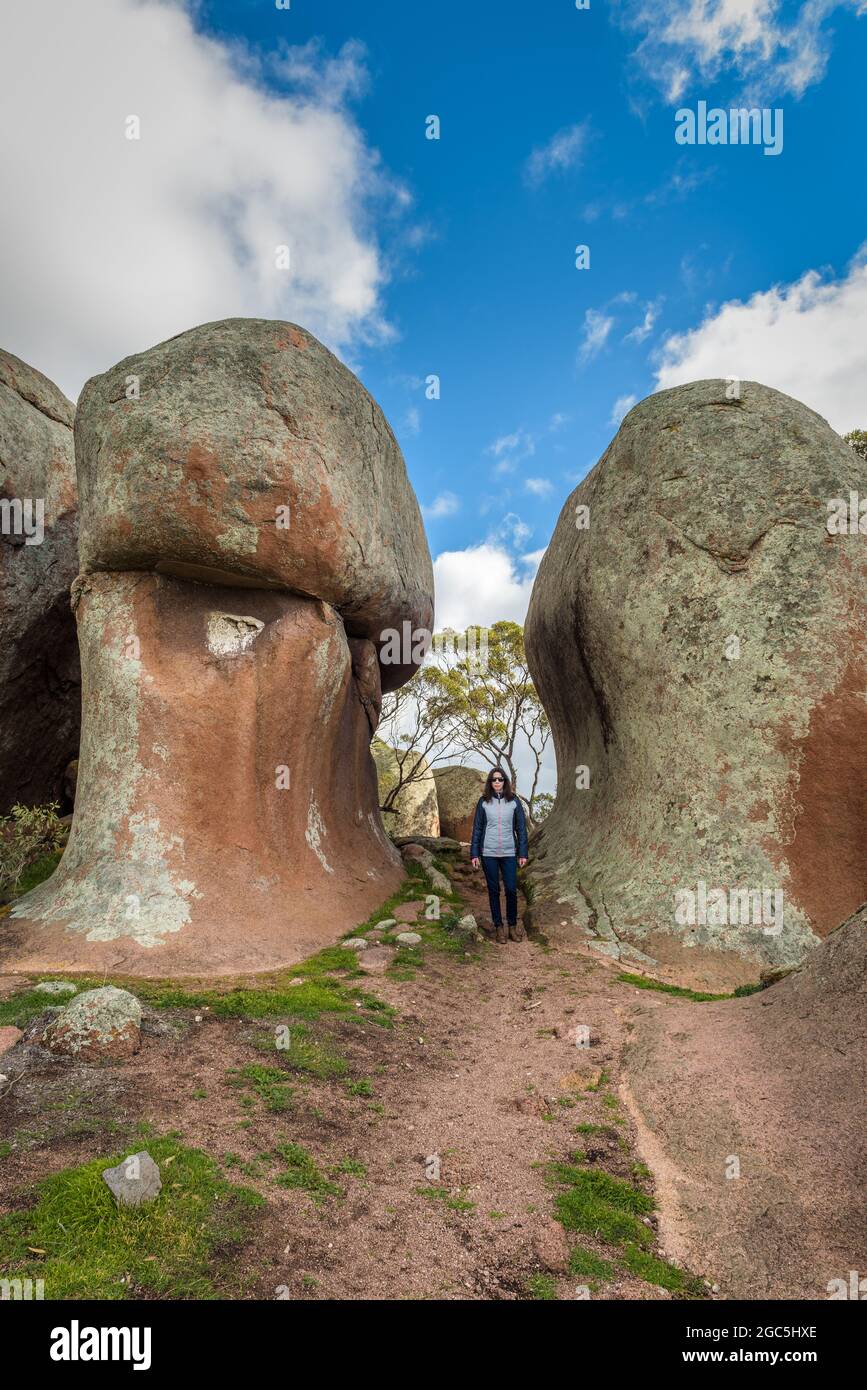 Les gigantesques blocs de granit rouge connus sous le nom de haystacks de Murphy sont une attraction touristique sur les terres agricoles près de Streaky Bay sur la péninsule d'Eyre en Australie méridionale. Banque D'Images
