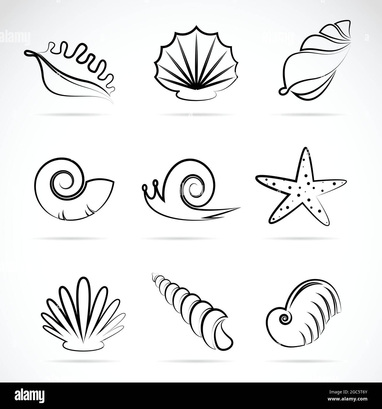 Collection vectorielle de coquillages et d'escargots. Illustration vectorielle superposée facile à modifier. Animaux sauvages. Illustration de Vecteur