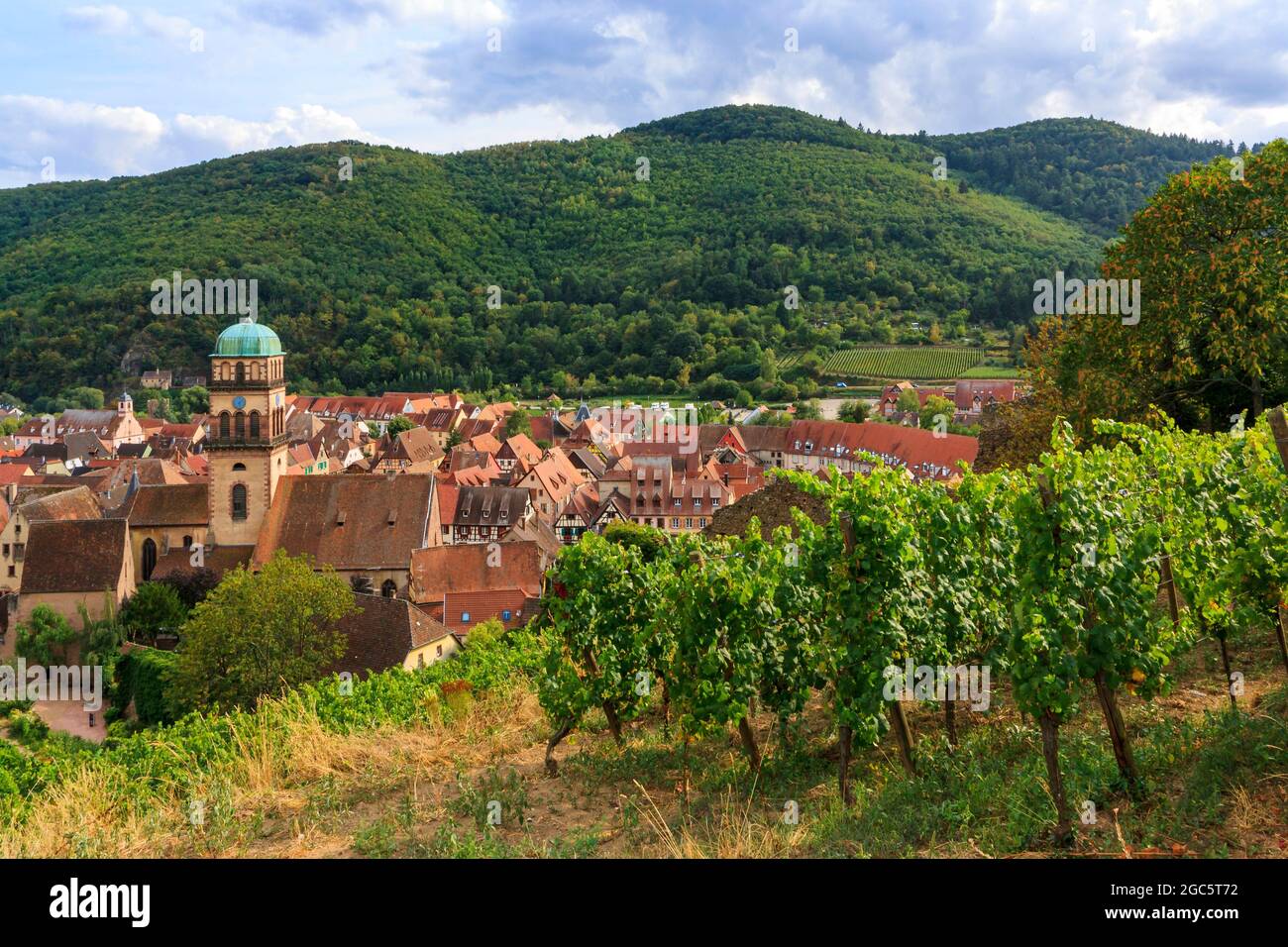 Vue sur le village de Kaysersberg, entre les vignobles d'Alsace en été Banque D'Images