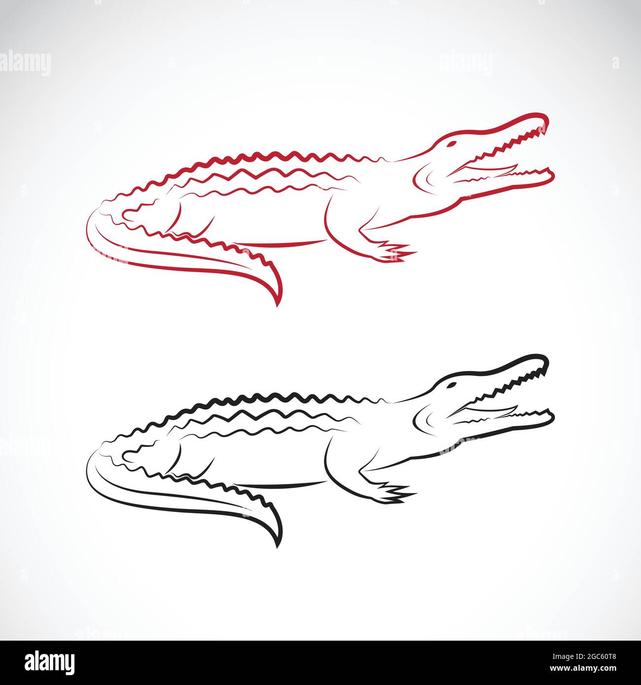 Tête De Crocodile Dessin Facile Black white illustration alligator crocodile Banque d'images vectorielles -  Alamy