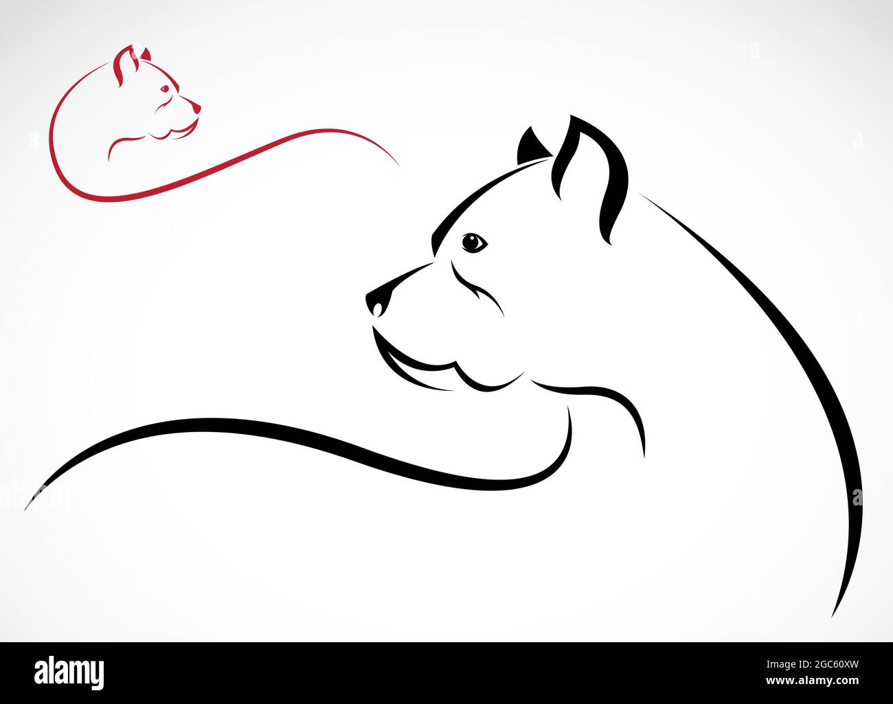 Image vectorielle d'un pitbull sur fond blanc Illustration de Vecteur