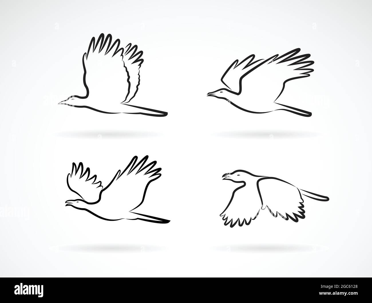 Dessin Oiseau Facile Qui Vole Oiseaux en vol stationnaire Banque d'images vectorielles - Alamy