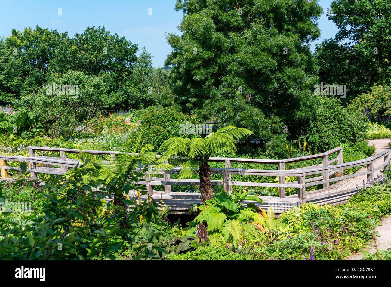 Le jardin Robinson, RHS Hyde Hall, Essex. Banque D'Images