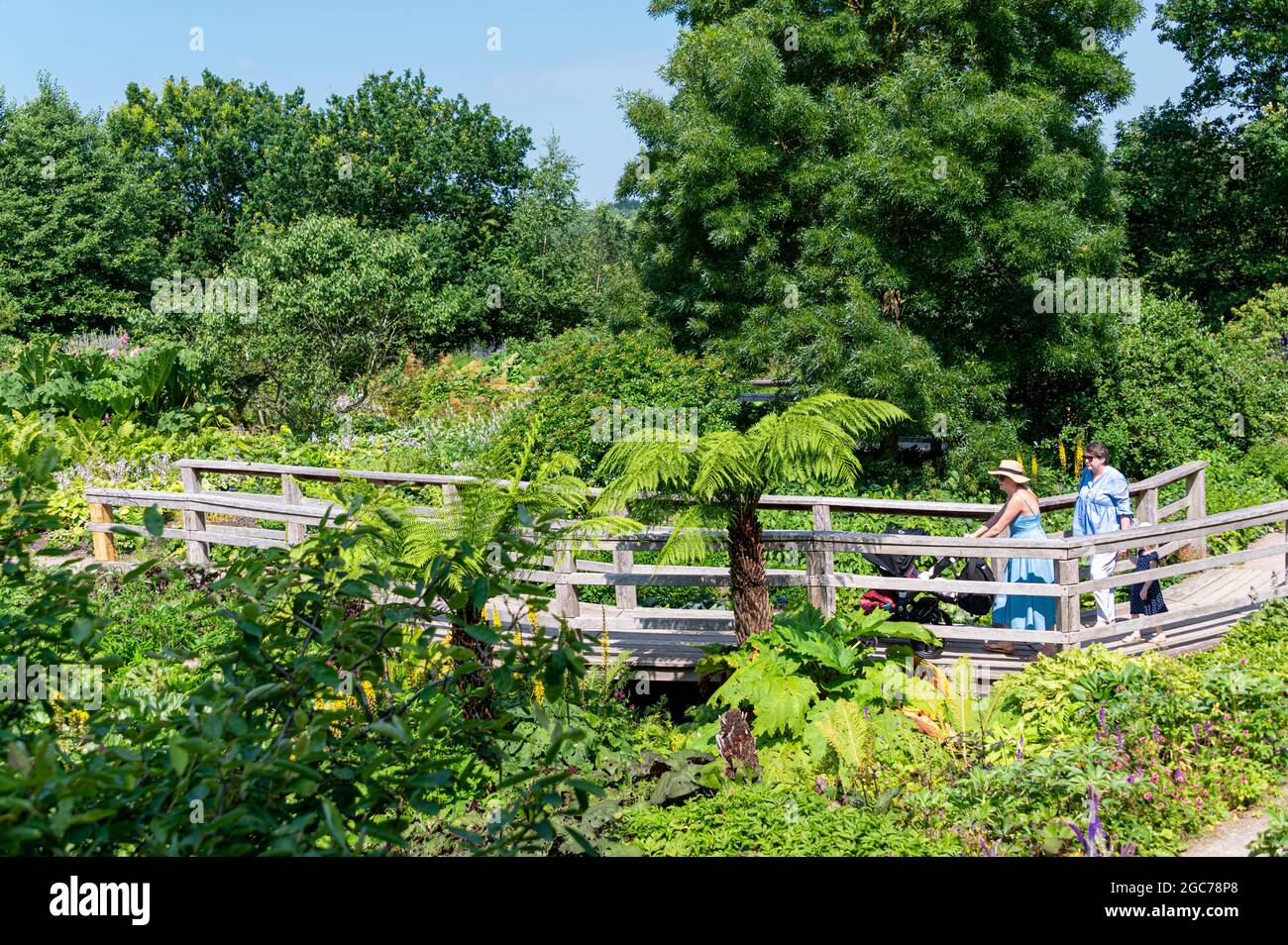 Le jardin Robinson, RHS Hyde Hall, Essex. Banque D'Images