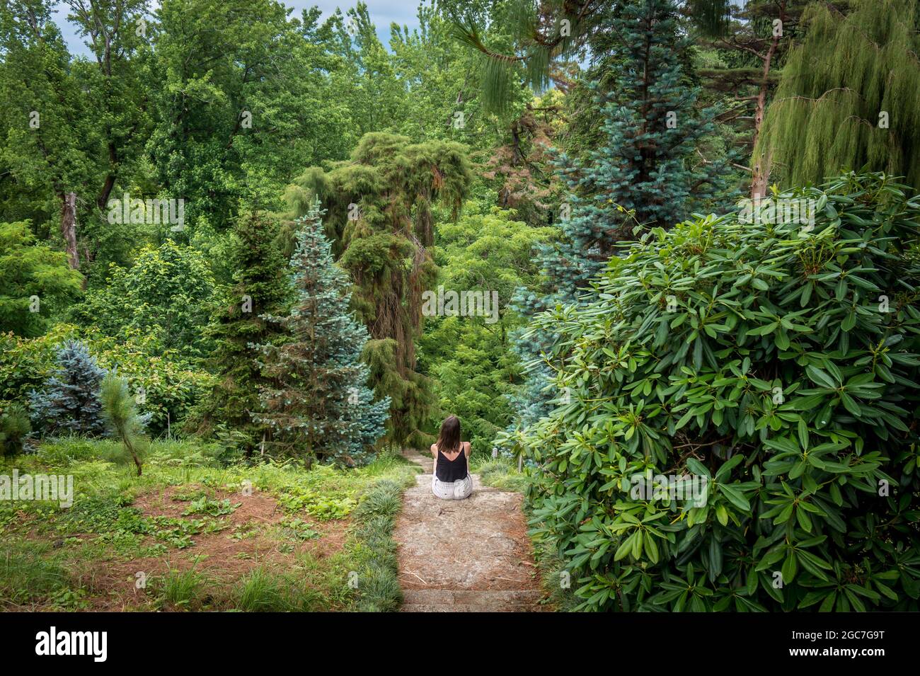 Jeune femme assise surplombant la belle forêt verte, parc en été. Concept de conservation de l'environnement. Jardin botanique de Batumi, Géorgie. Banque D'Images