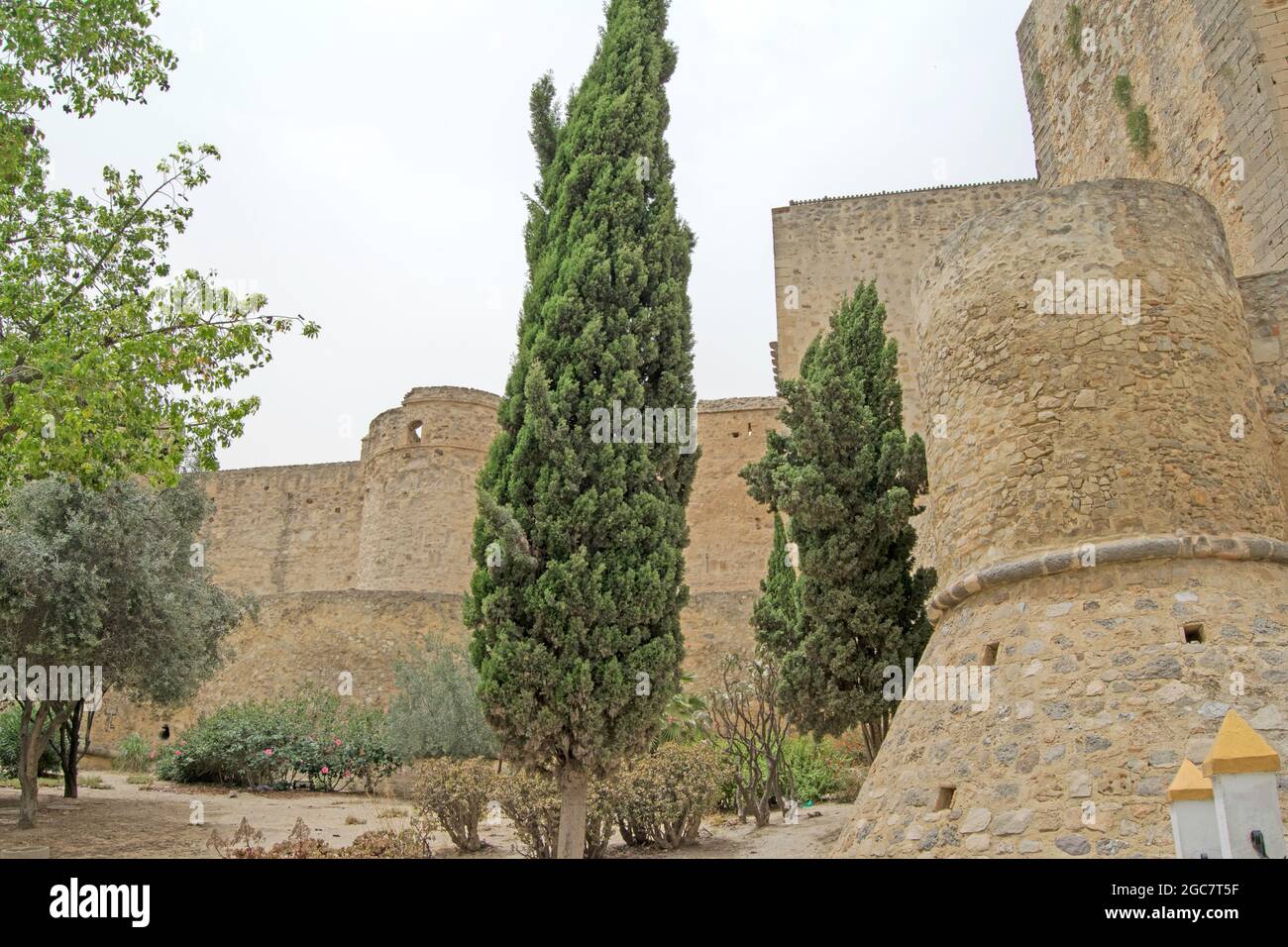 Arbres en face des tours du Castillo de Santiago à Sanlucar de Barrameda, Cadix, Andalousie, Espagne Banque D'Images