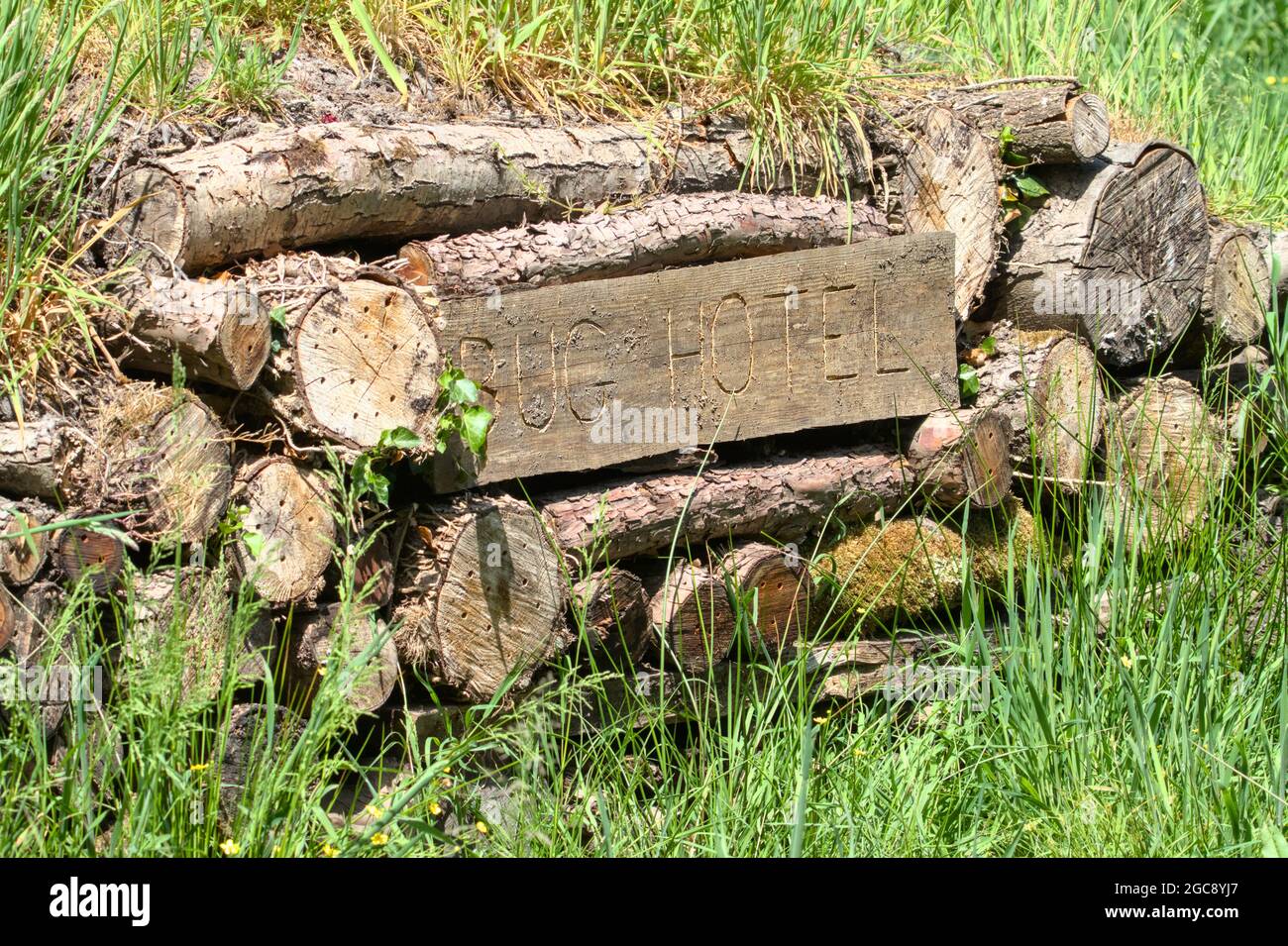 Man Made Bug Hotel à partir de billes et de matériaux naturels avec panneau sculpté. Hampshire Royaume-Uni Banque D'Images