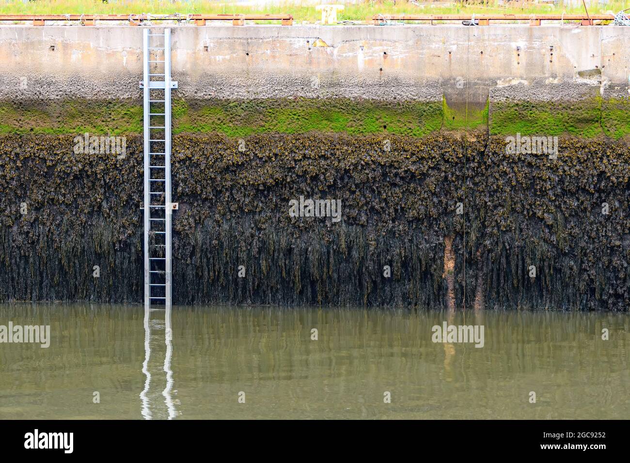 Une échelle d'urgence sur un quai à marée basse. L'échelle est pour quand les gens tombent dans le port. La marque de marée haute est visible par l'algue. Banque D'Images