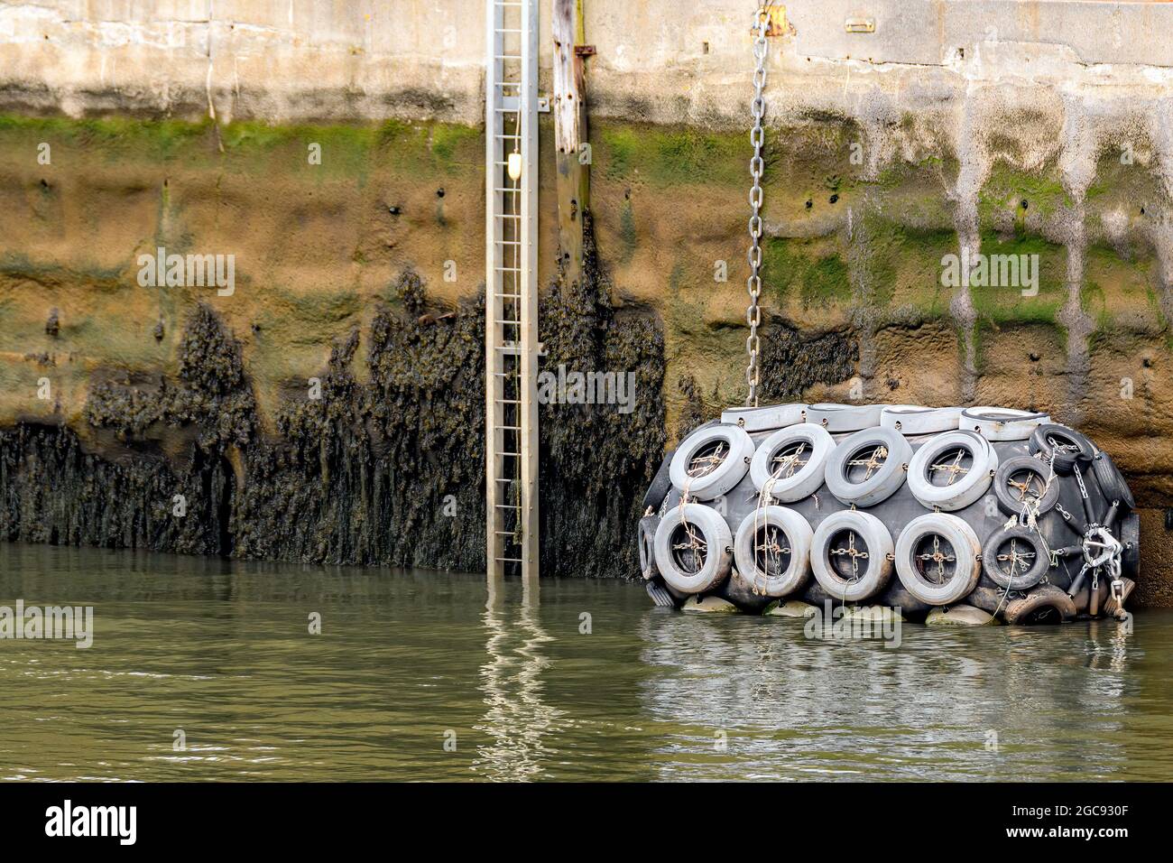 Grand pare-chocs de bateau couvert de pneus flottant à côté de l'échelle à marée basse sur un quai. Le pare-chocs et les pneus sont décolorés. L'échelle est pour les personnes qui tombent dans l'eau. Banque D'Images