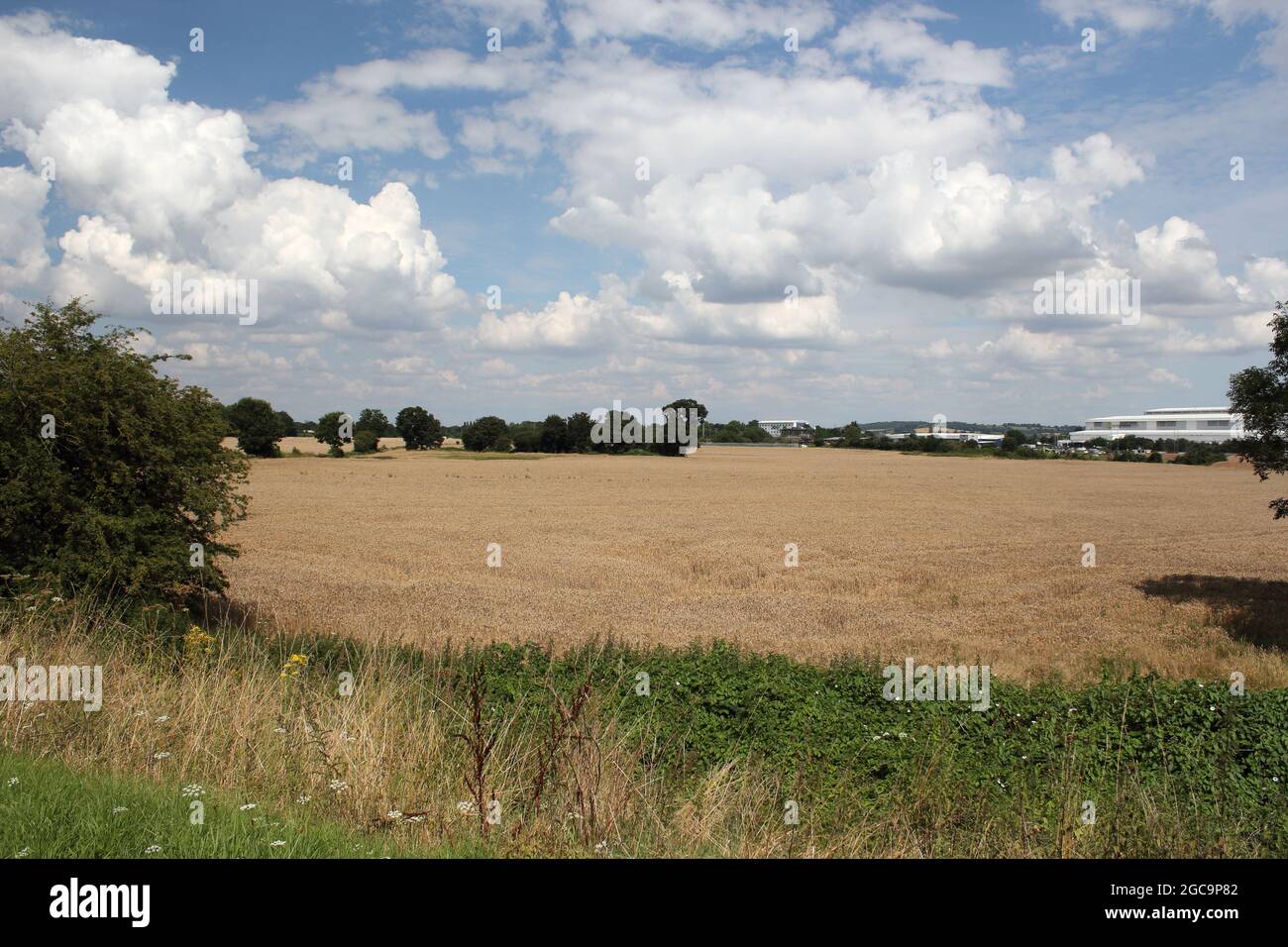 Theobalds Park, Waltham Cross, proposé en août 2021 comme nouveau site de Sunset film Studio à Hertfordshire (sur l'A10, juste à côté de la M25, sortie 25) Banque D'Images