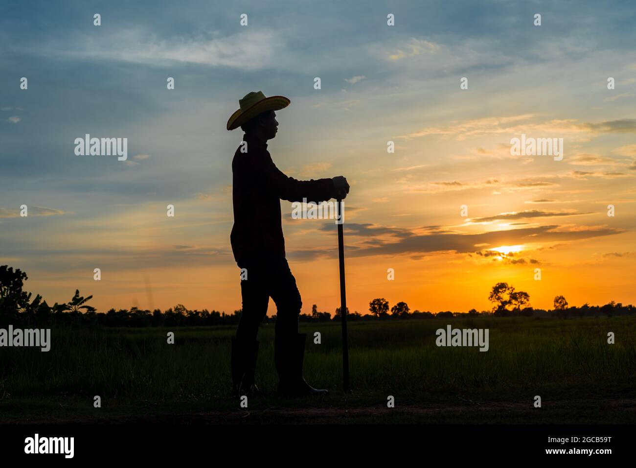 Agriculteur mâle tenant une houe dans un champ au coucher du soleil Banque D'Images