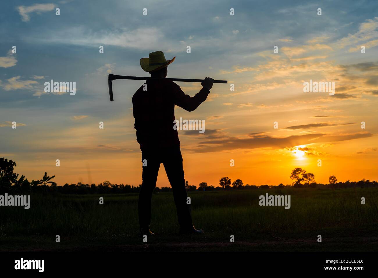 Agriculteur mâle tenant une houe dans un champ au coucher du soleil Banque D'Images