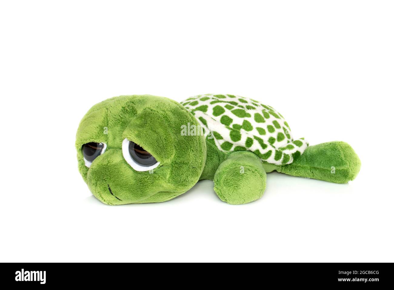 Image d'une poupée de tortue verte isolée sur fond blanc. Poupées animales. Banque D'Images