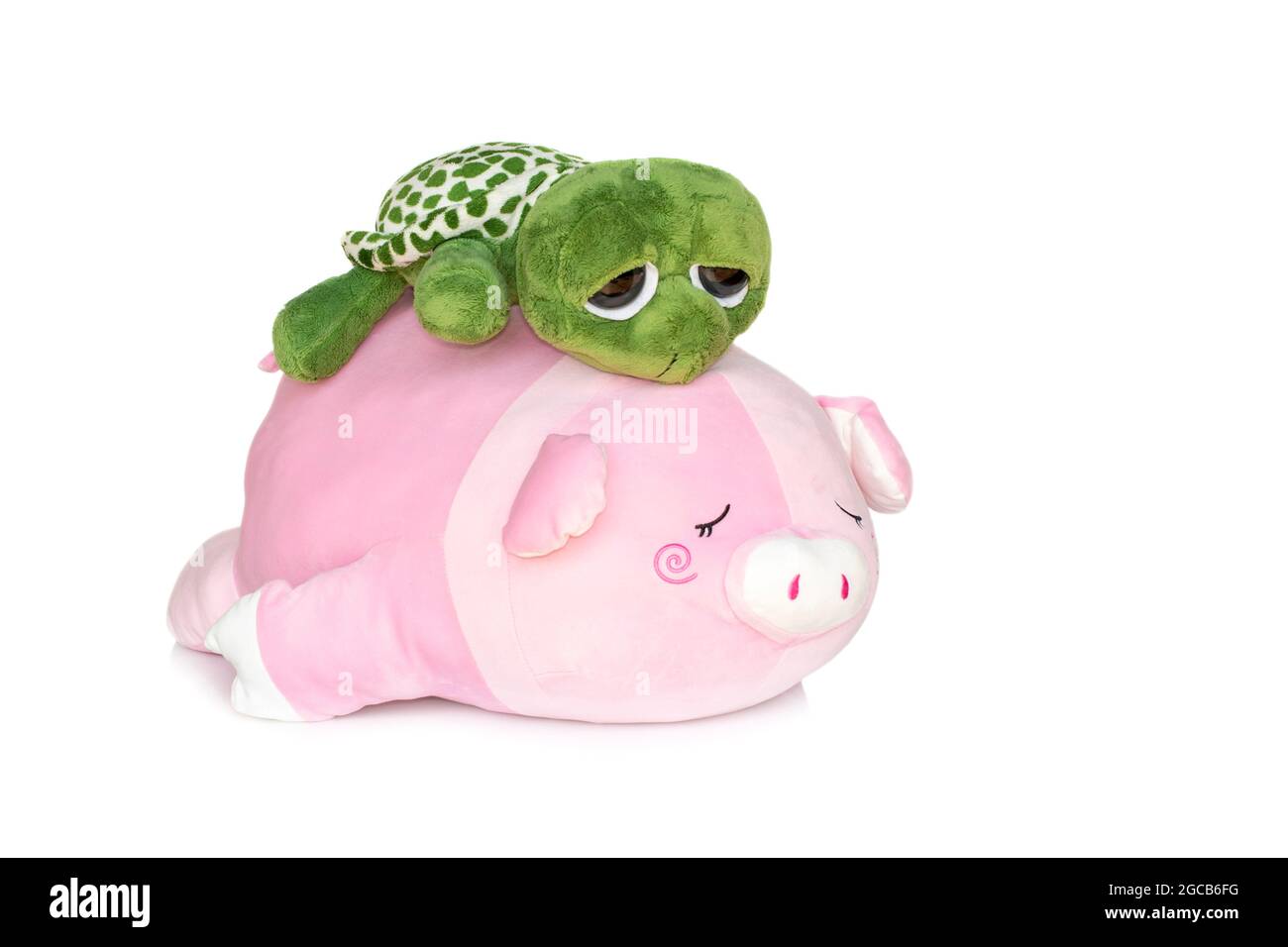 Image de poupée de tortue sur la poupée de porc arrière isolée sur fond blanc. Poupées animales. Banque D'Images