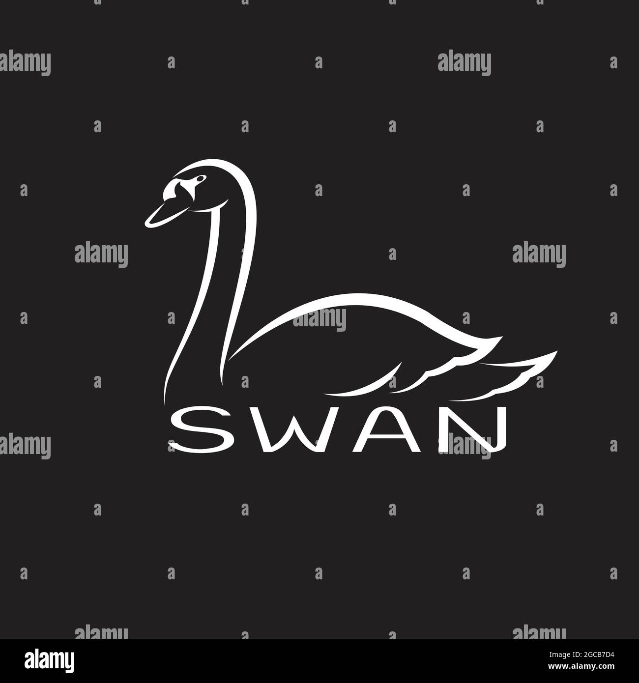 Vecteur d'un cygne sur fond noir. Animaux sauvages. Illustration vectorielle superposée facile à modifier. Illustration de Vecteur