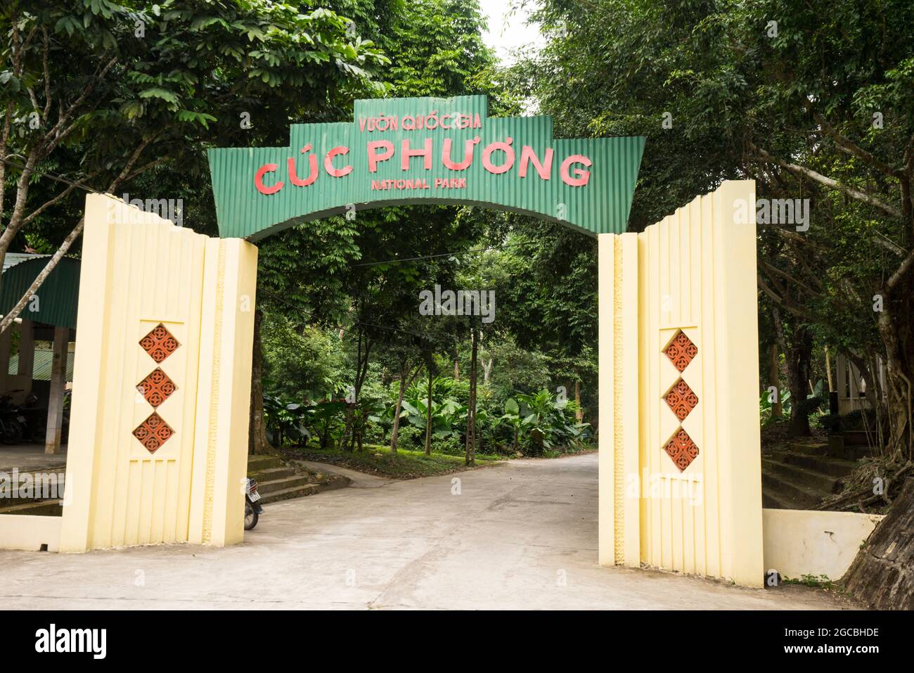 Forêt nationale de CUC Phuong dans la province de Ninh Binh, au nord du Vietnam Banque D'Images
