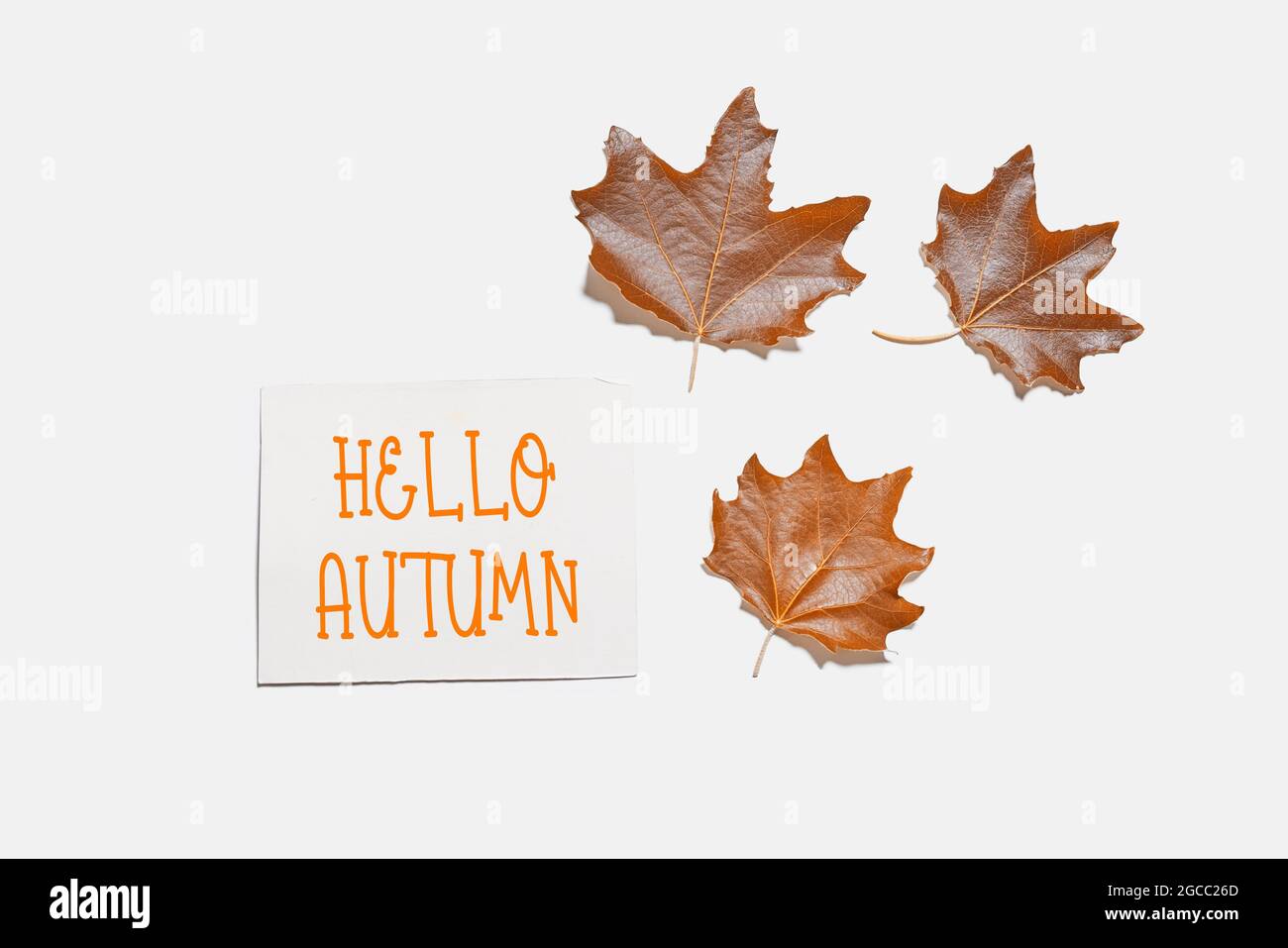 Bonjour Concepts D Automne Avec Feuilles D Automne Et Carte De Vœux Sur Fond Blanc Photo Stock Alamy Bonjour Concepts D Automne Avec Feuilles D Automne Et Carte De Vœux Sur Fond Blanc Photo Stock Alamy