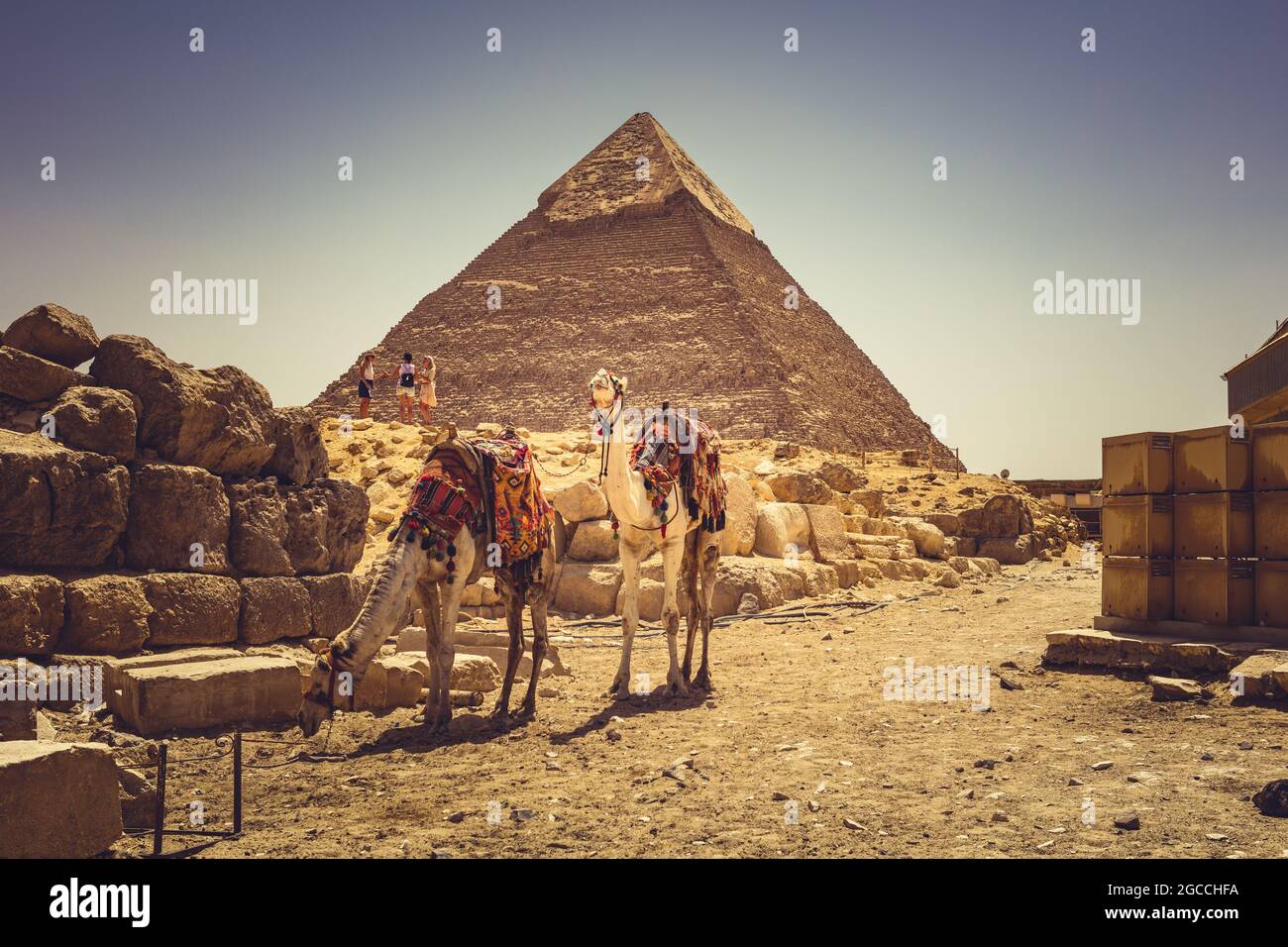 Pyramides de Gizeh Egypte Banque D'Images