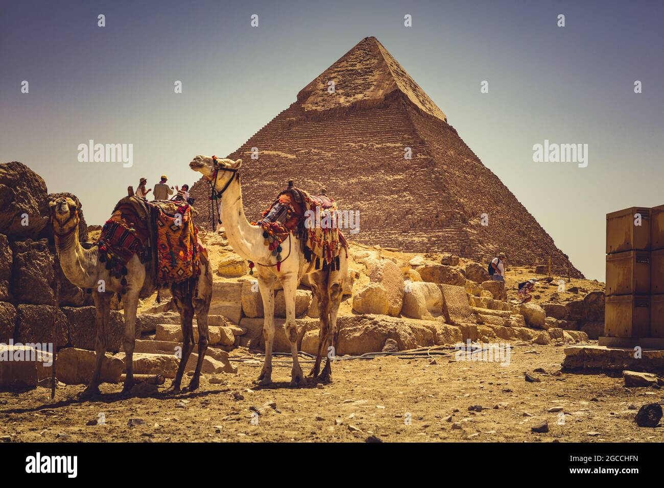 Pyramides de Gizeh Egypte Banque D'Images