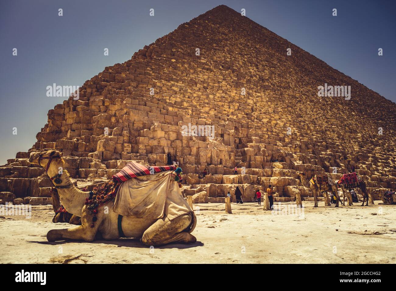 Pyramides de Gizeh Egypte Banque D'Images