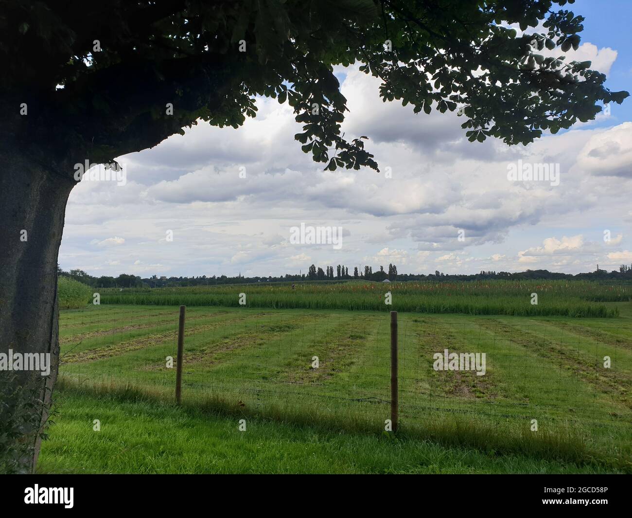 Zone de protection du paysage à Mülheim, Allemagne Banque D'Images