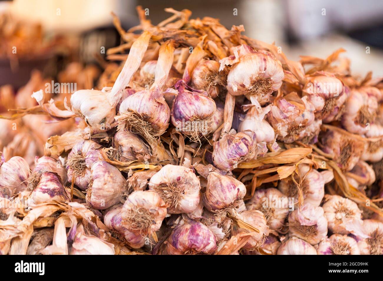 Gros plan sur une pile de garlics sur un marché en décrochage. Banque D'Images