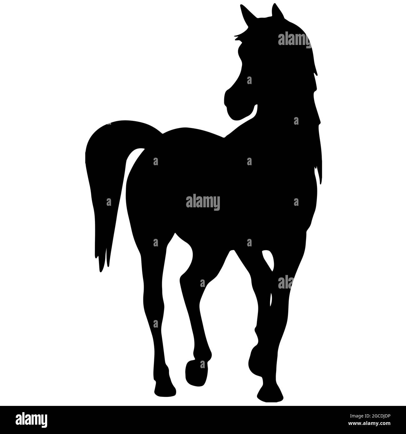 Silhouette noire d'un cheval. Icône de l'étalon Banque D'Images