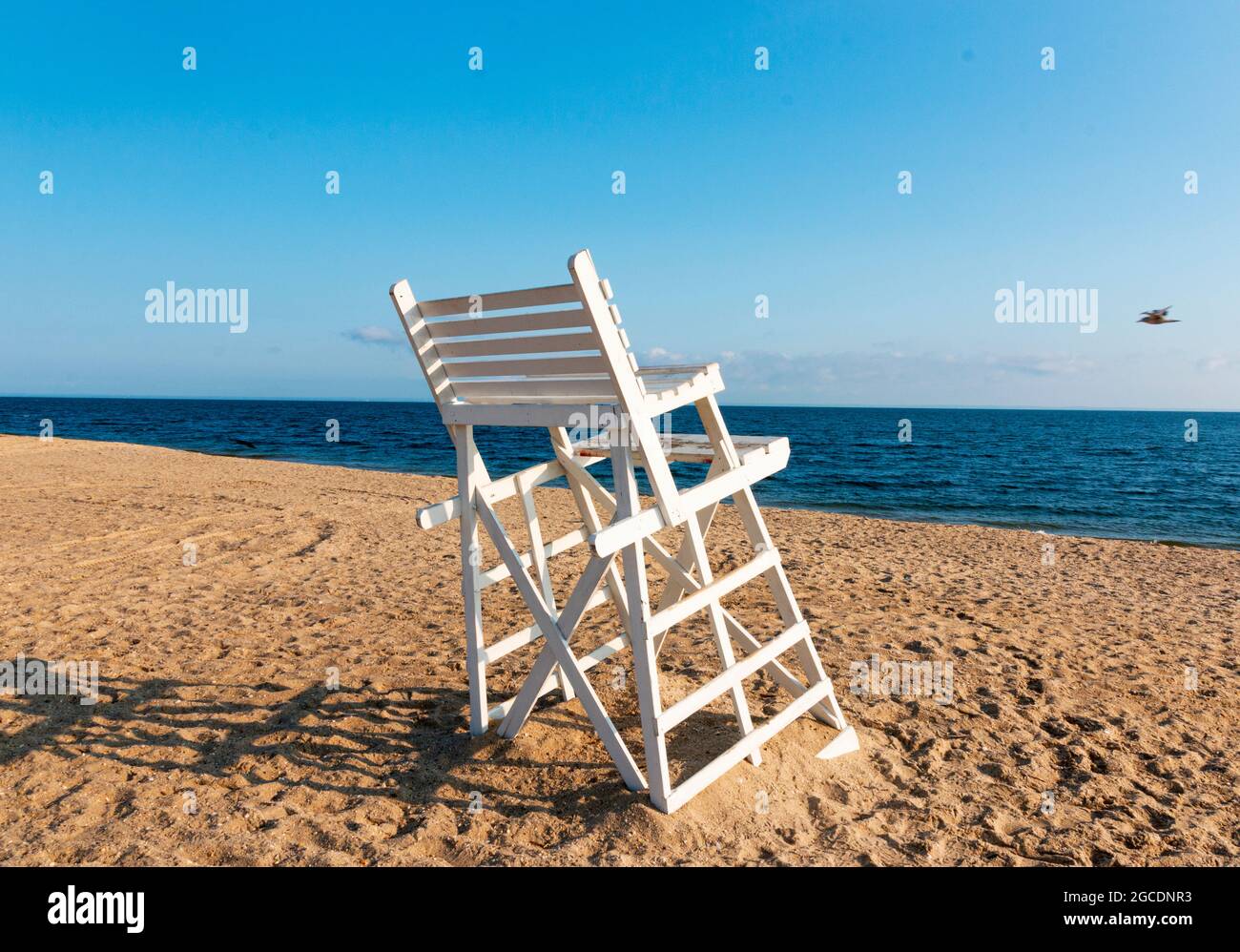 Un petit gardien de vie blanc se trouve sur le sable au parc national Sunken Meadow, sans personne sur la plage. Banque D'Images