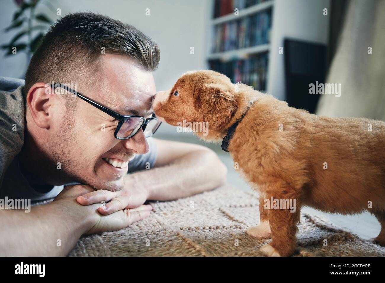 Homme Jouant Avec Un Chien Mignon Curieux Chiot De La Nouvelle Ecosse Chien De Chasse De Canard Qui Explore La Maison Photo Stock Alamy