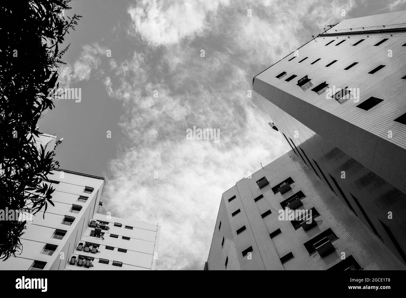 Bâtiments qui atteignent le ciel bleu clair et clair lors d'une journée ensoleillée. Salvador, Bahia, Brésil. Banque D'Images