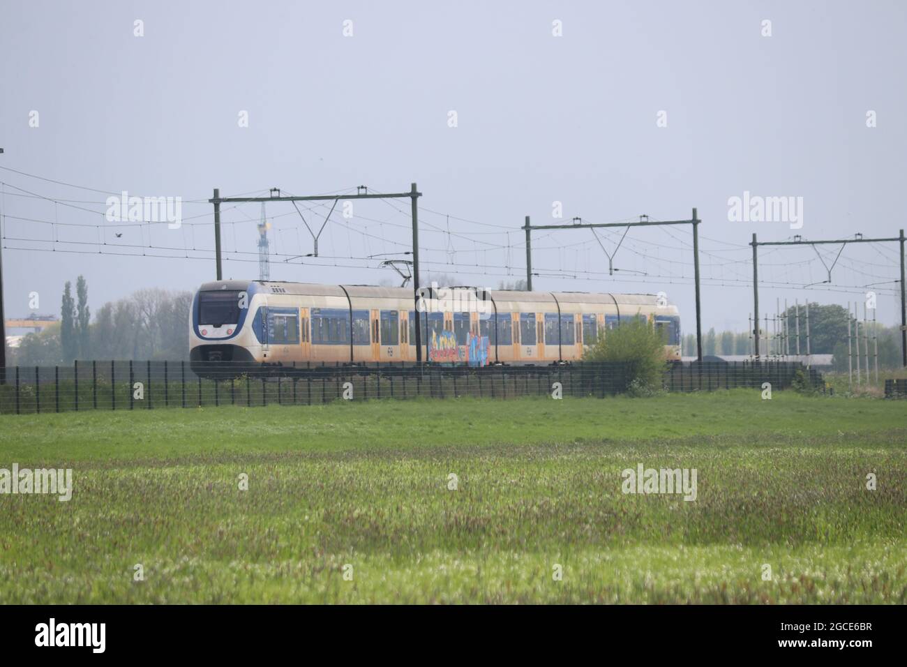 Train de banlieue SLT entre Rotterdam et Gouda dans le Zuidplaspolder Banque D'Images