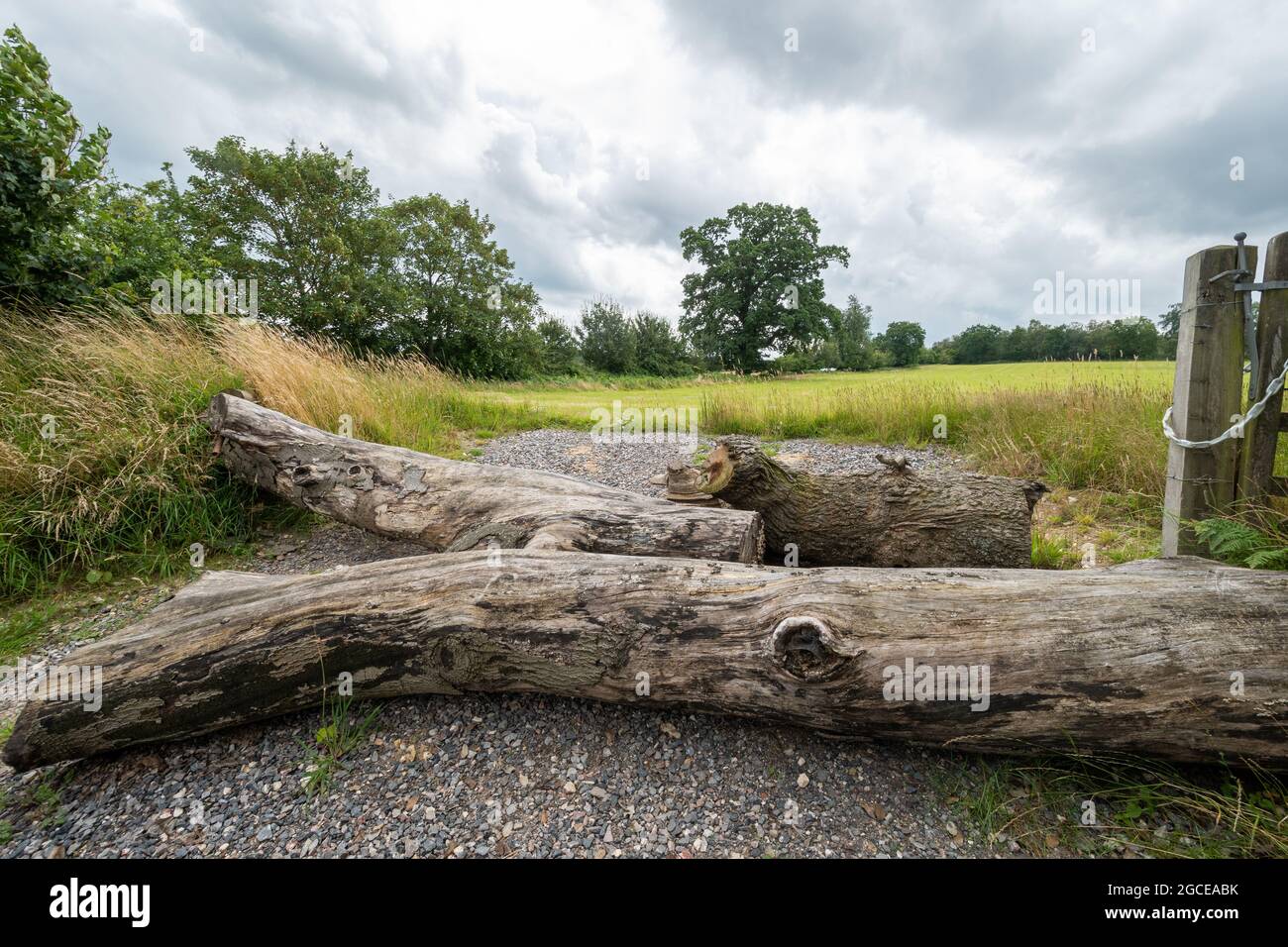 Troncs d'arbres ou bûches à l'entrée d'un champ par mesure de précaution, prévention de la criminalité rurale, Royaume-Uni Banque D'Images