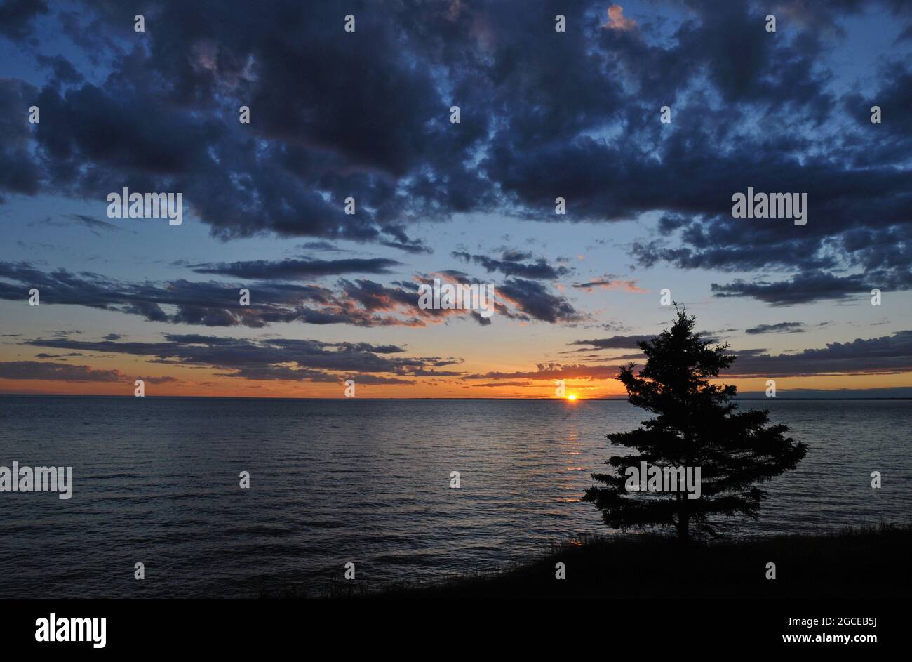 Un arbre solitaire se dresse en silhouette tandis que le soleil se couche sur le détroit de Northumberland à l'Île-du-Prince-Édouard. Banque D'Images