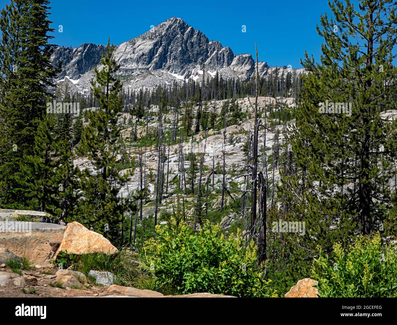 ID00813-00...IDAHO - vue au sommet de Lick Creek au-dessus de McCall. Banque D'Images