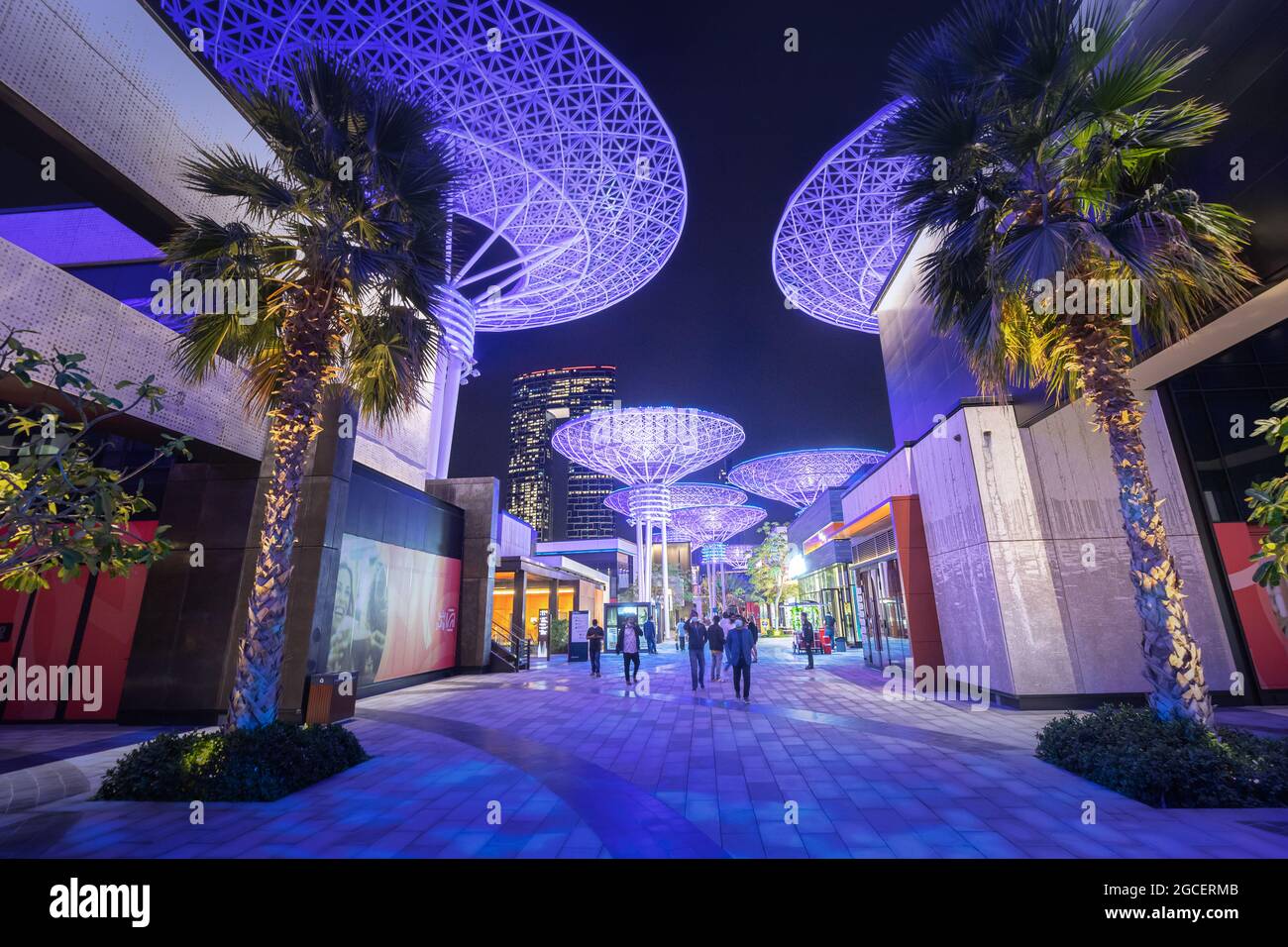 22 février 2021, Dubaï, Émirats Arabes Unis : attraction touristique populaire de Dubaï - allée de super arbres en métal lumineux décotatif sur Blue Waters Island. Super endroit pour moi Banque D'Images