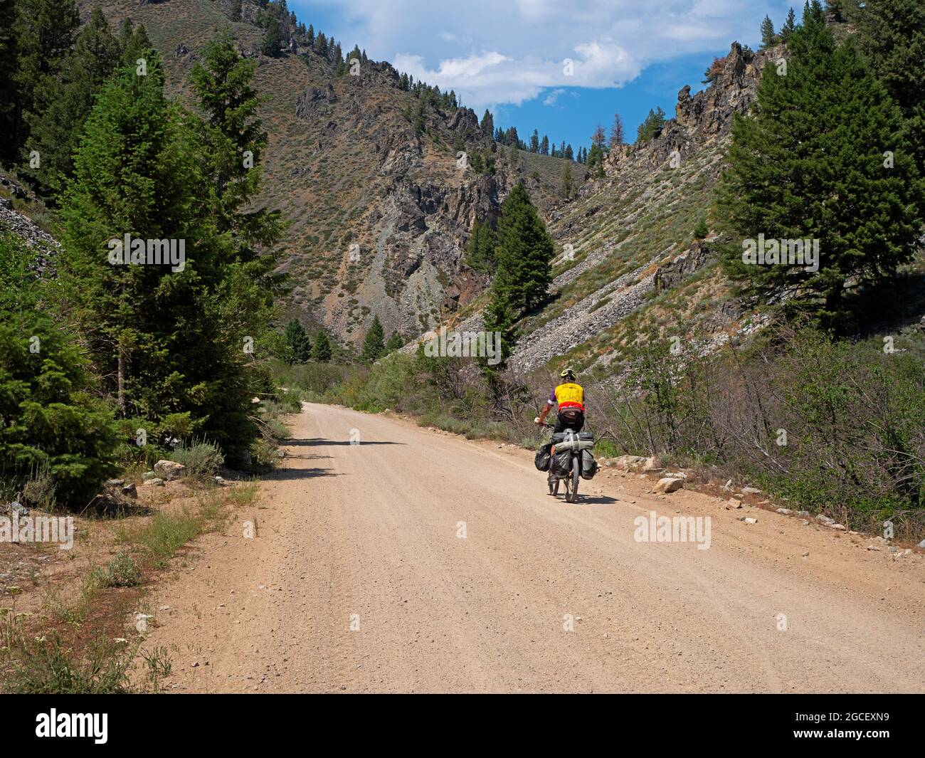 ID00820-00...IDAHO - Renseignez-vous sur la route pittoresque de la forêt 227 tout en suivant la route de source chaude de randonnée à vélo d'aventure. Banque D'Images