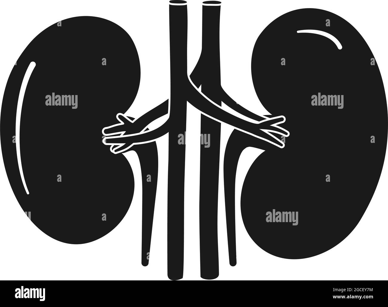 Organes anatomiques des reins humains dans l'icône vectorielle Illustration de Vecteur