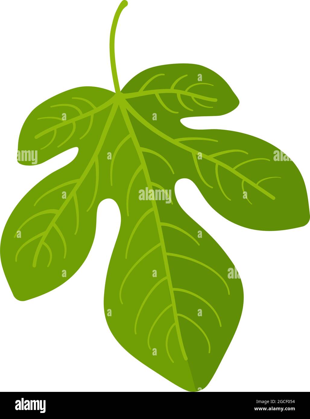 Feuille de fig. verte dans l'icône de vecteur Illustration de Vecteur