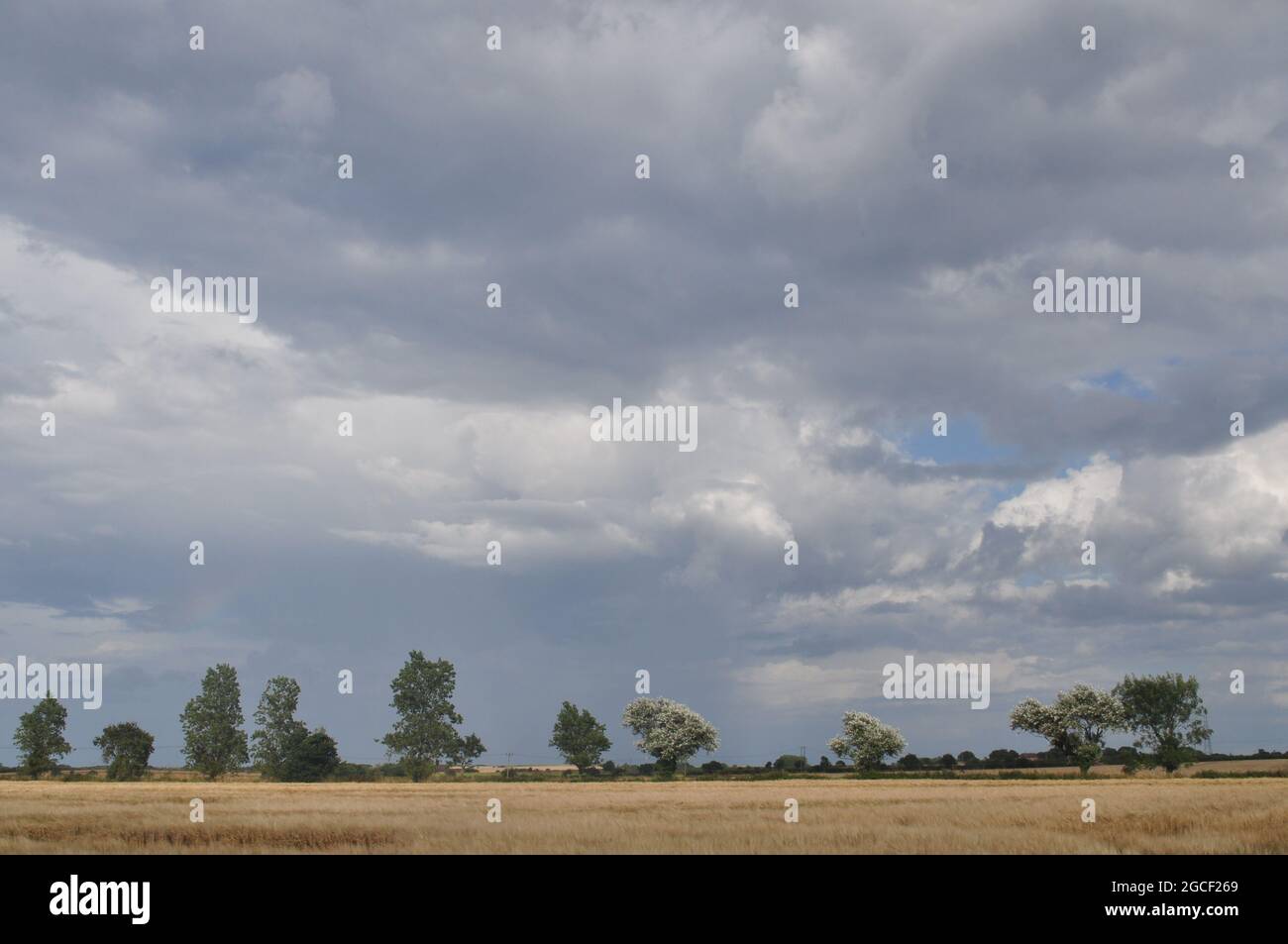 Cumulonimbus nuage au-dessus du nord-est de Norfolk, vu de près de Knapton, Angleterre, Royaume-Uni Banque D'Images