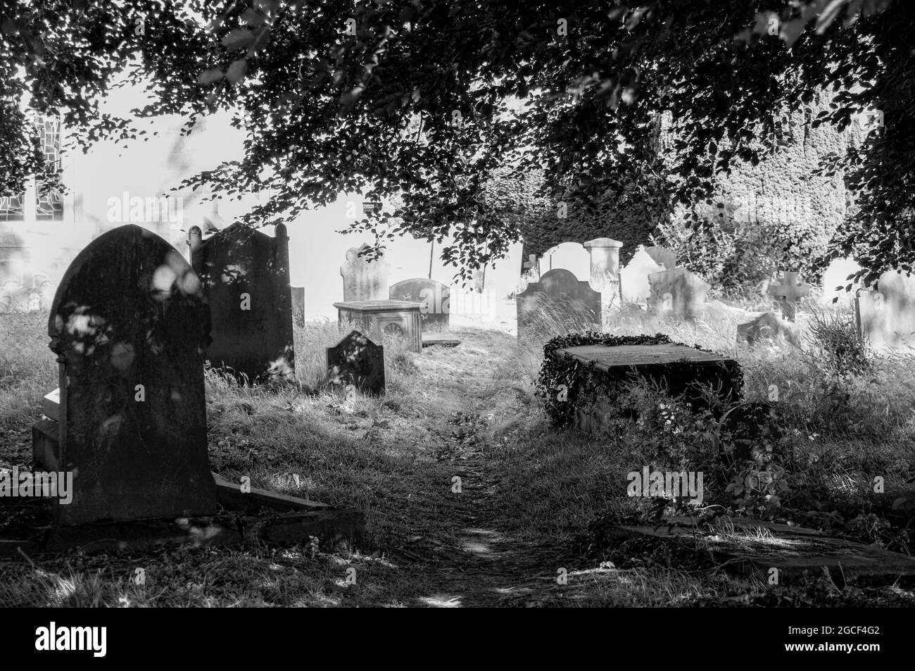 Cimetière de l'église de la Toussaint, Ripley, Angleterre, le 8 juillet 2008 en noir et blanc Banque D'Images